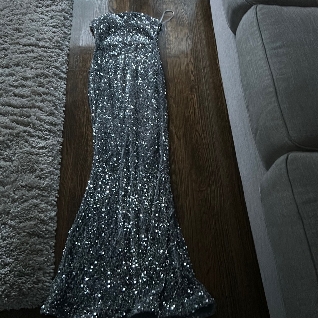 Silver Sequined Dress Strapless And Very Long